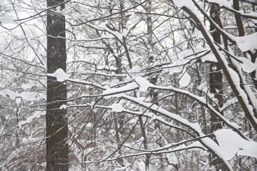 Similar image 22376232