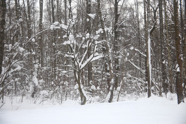 Similar image 22376233