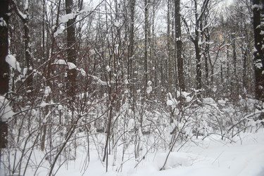 Similar image 22376234