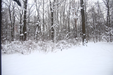 Similar image 22376235