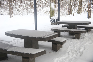 Similar image 22376242