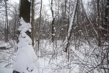 Similar image 22376244