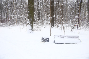 Similar image 22376246