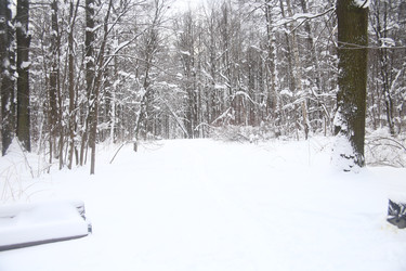 Similar image 22376247