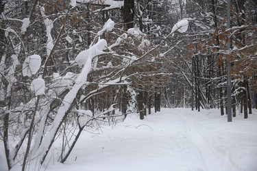 Similar image 22376248