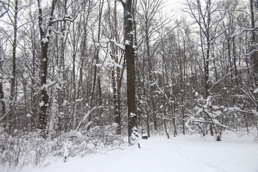 Similar image 22376250