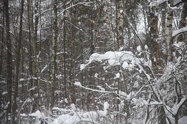 Similar image 22376256