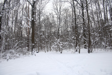 Similar image 22376259