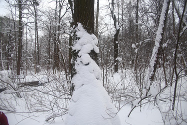 Similar image 22376260