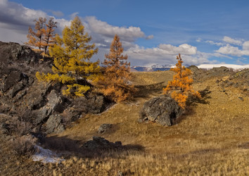 Similar image 22375863