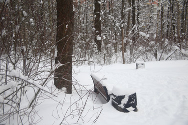 Similar image 22376261