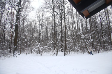 Similar image 22376262