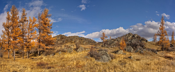 Similar image 22375866