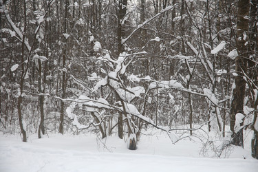 Similar image 22376265