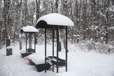 Similar image 22376279