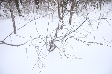 Similar image 22376280