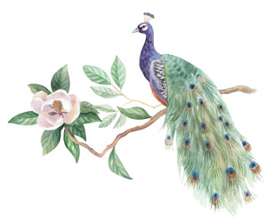 Similar image 22375870