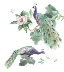 Similar image 22375872