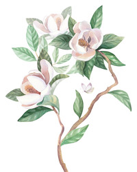 Similar image 22375875