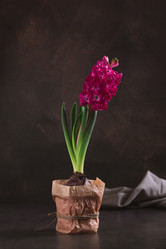 Similar image 22373633