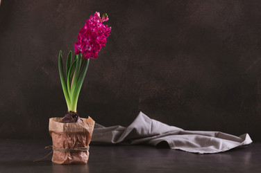 Similar image 22373657