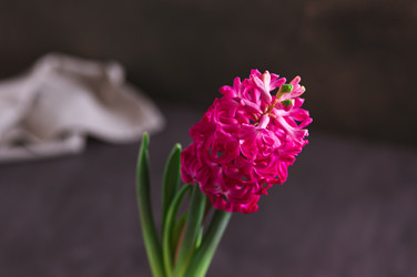 Similar image 22373683