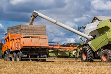 Similar image 22394791