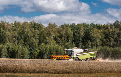 Similar image 22394836