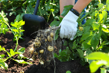 Similar image 22376189