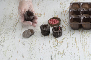 Similar image 22377269