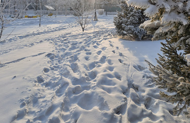 Similar image 22377281