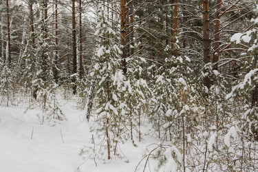 Similar image 22377282