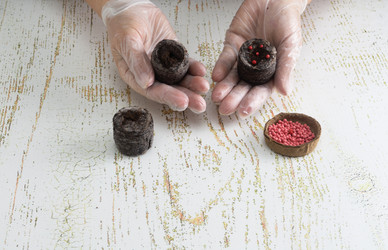 Similar image 22377283