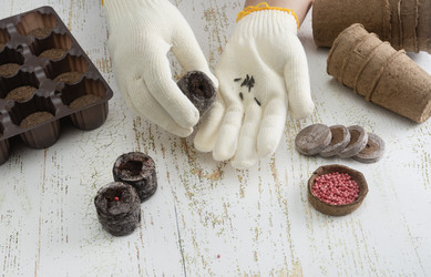 Similar image 22377286