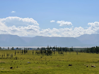 Similar image 22375764