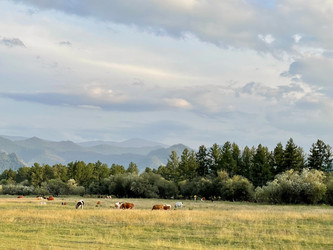 Similar image 22375765