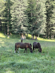 Similar image 22375766