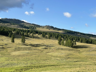 Similar image 22375767