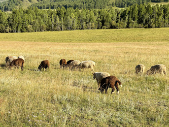 Similar image 22375769