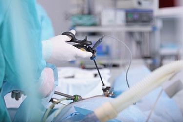 Similar image 22376175