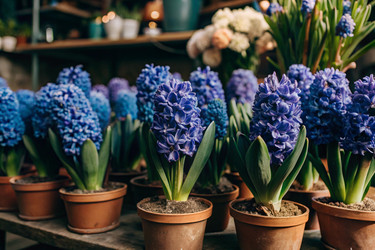 Similar image 22382943