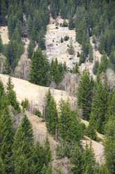 Similar image 22375963