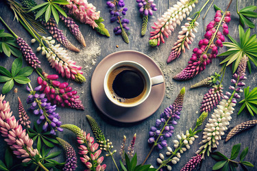 Similar image 22393833