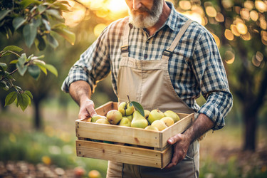 Similar image 22394838