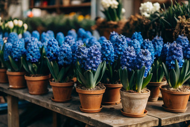 Similar image 22382959