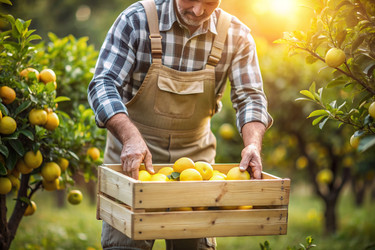 Similar image 22383259