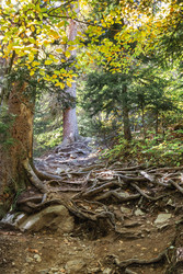 Similar image 22377523