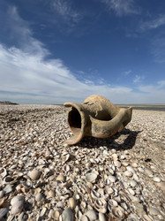 Similar image 22377372