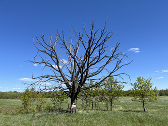 Similar image 22377374