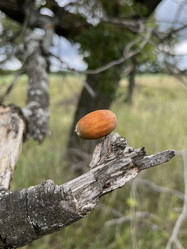 Similar image 22377377